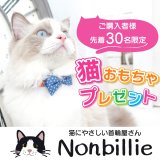 ✨猫好き集合！10/19はニャンフェスで待ってます🐱先着プレゼントも🎁