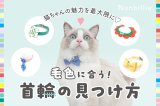 🐾猫ちゃんの魅力UP！毛色に合わせた首輪コーディネート公開✨