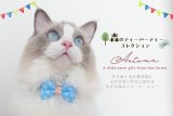🌳猫たちの秘密の森へようこそ🌳【新作】森のティーパーティーコレクション他、新作首輪 発売のお知らせ