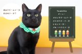 🍒 新作入荷のお知らせ 🍒  大人気「フルーツバスケットシリーズ」に続き、待望の新作スタイ首輪が登場します！