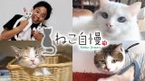 【速報】🐱💖テレビデビュー!? Nonbillie看板猫が『ねこ自慢』登場✨