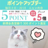 通常営業スタート＆ポイント5倍デー✨