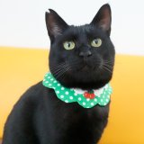 お待たせしました！！完売中のソーダーカラーのスタイ、全サイズそろって再入荷です🍈🍓🍋