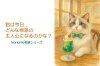 Nonbille“物語コレクション”
