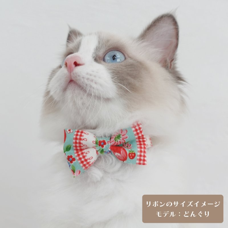 画像1: Candyシリーズ・水色ボーダー×無地リボン首輪/5色展開