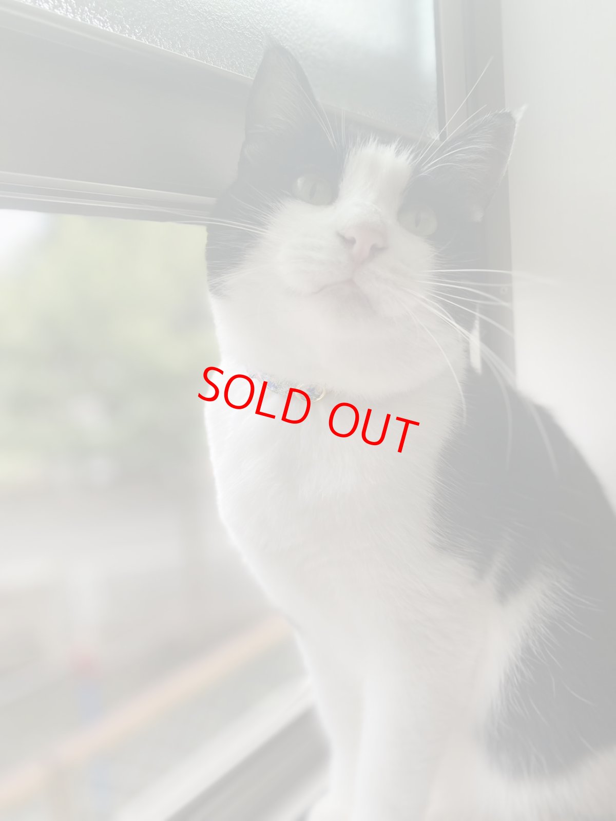 画像6: エアリー首輪・LIBERTY Fabrics・リバティ・ファブリックス猫首輪（Poppy＆Daisy ）ポピー＆デイジー リバティ/ピンク (6)