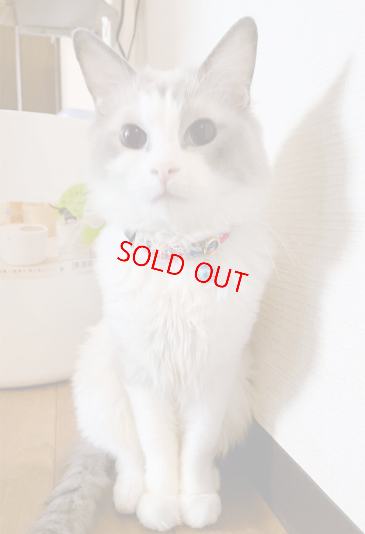 画像7: エアリー首輪・LIBERTY Fabrics・リバティ・ファブリックス猫首輪（Poppy＆Daisy ）ポピー＆デイジー リバティ/ピンク (7)