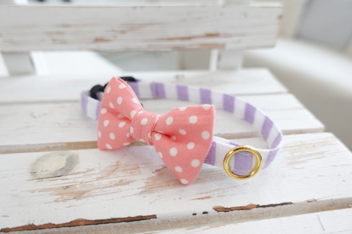 画像2: Candyシリーズ・パープルボーダー×ピンクドットリボン首輪 (2)