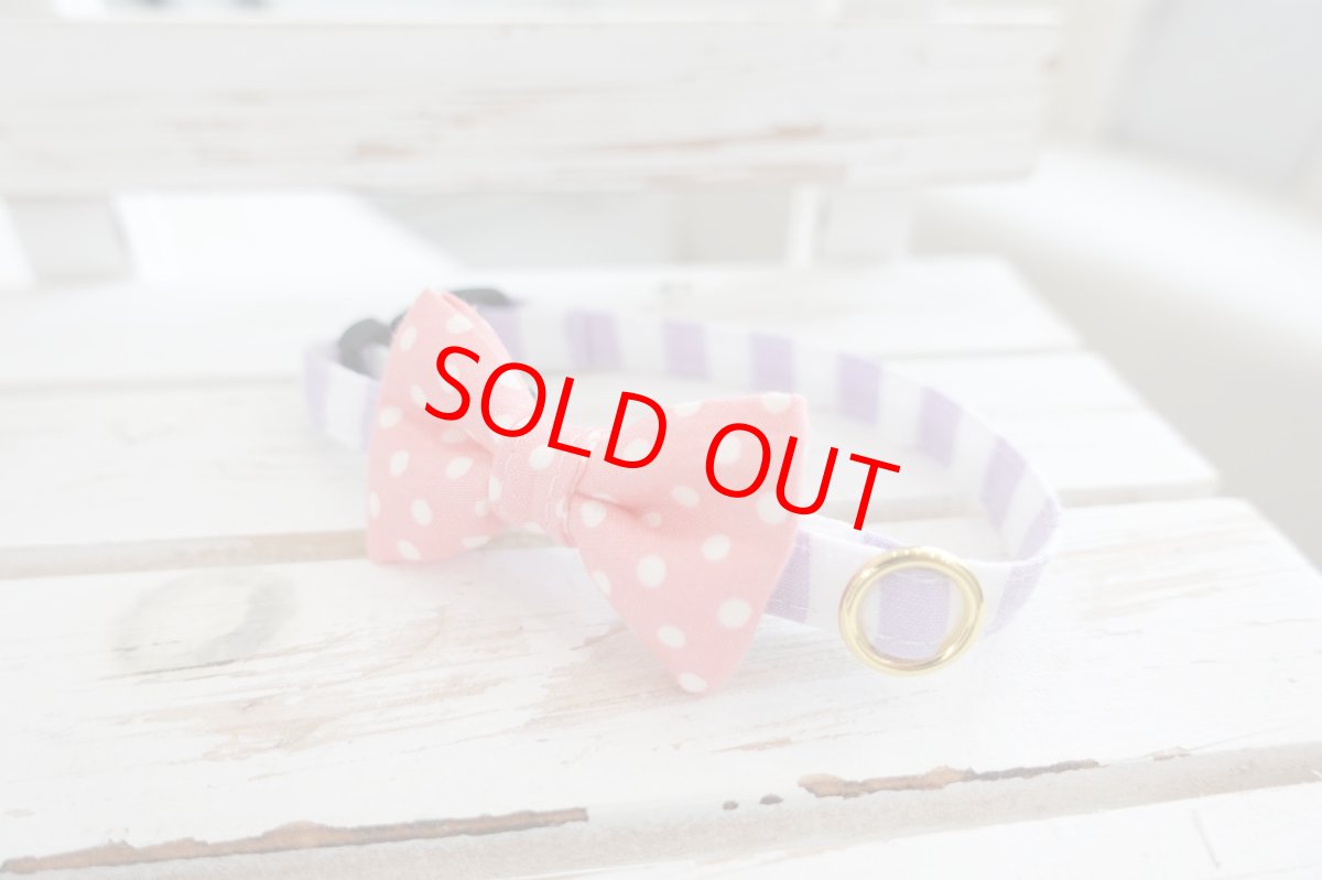 画像2: Candyシリーズ・パープルボーダー×ピンクドットリボン首輪 (2)