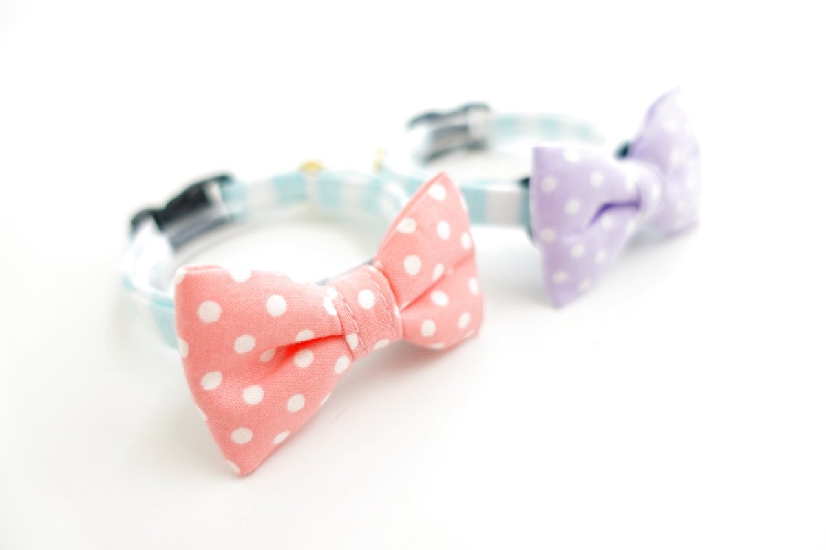 画像6: Candyシリーズ・水色ボーダー×ドット柄リボン首輪/2色展開 (6)
