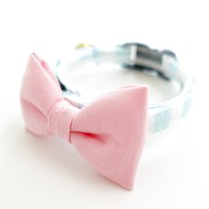 画像3: Candyシリーズ・水色ボーダー×無地リボン首輪/5色展開 (3)