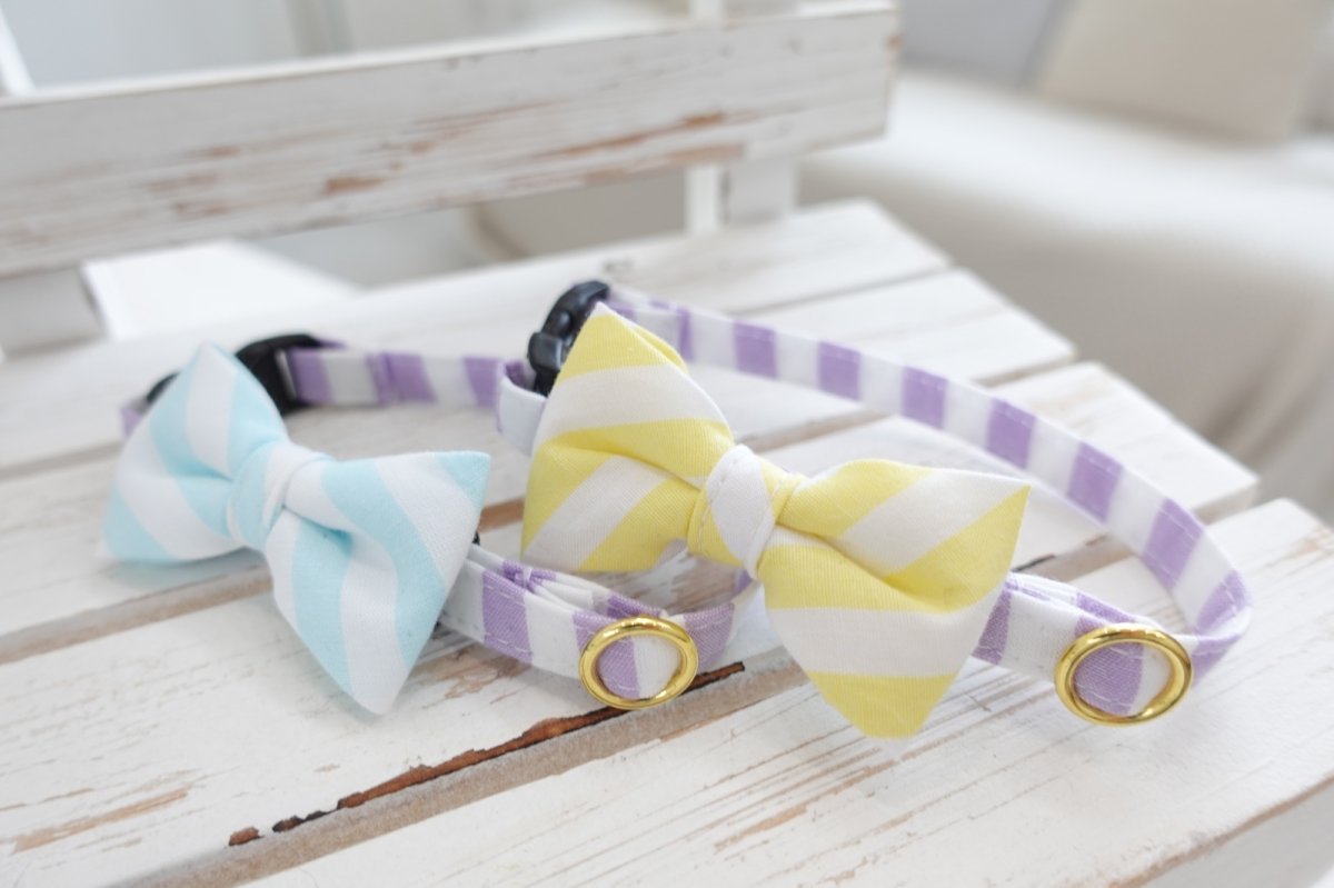 画像6: Candyシリーズ・パープルボーダー×ボーダー柄リボン首輪/2色展開 (6)