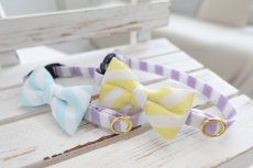 画像6: Candyシリーズ・パープルボーダー×ボーダー柄リボン首輪/2色展開 (6)