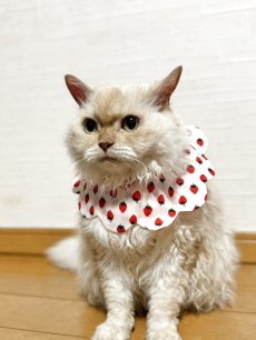 画像17: イチゴ柄/猫のスタイ首輪/シングル衿【ロングタイプ】3色展開 (17)