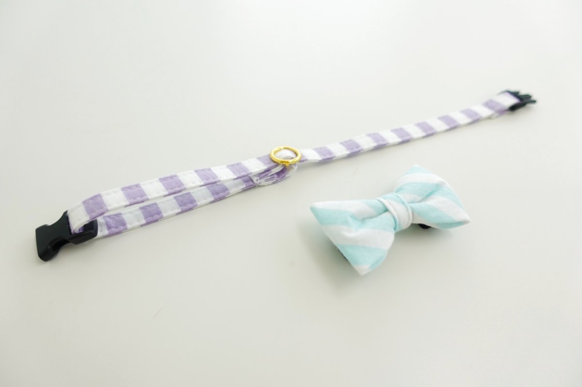 画像7: Candyシリーズ・パープルボーダー×ボーダー柄リボン首輪/2色展開 (7)