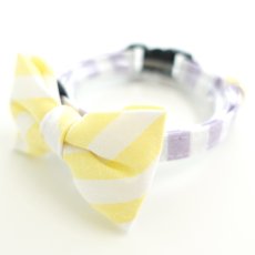 画像2: Candyシリーズ・パープルボーダー×ボーダー柄リボン首輪/2色展開 (2)