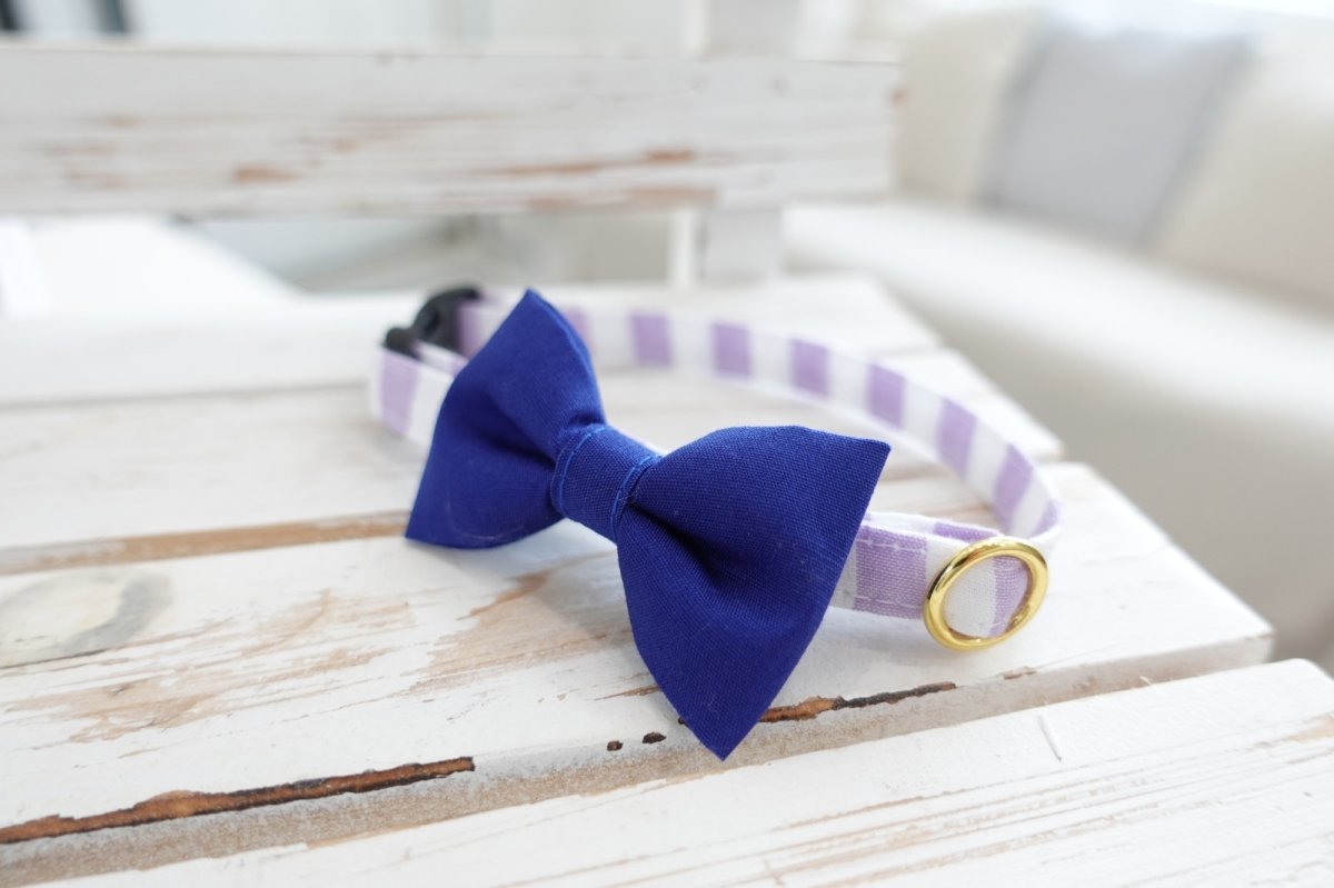 画像9: Candyシリーズ・パープルボーダー×無地リボン首輪/4色展開 (9)