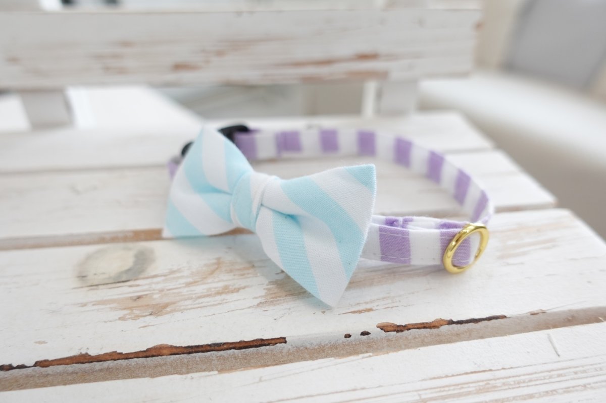 画像5: Candyシリーズ・パープルボーダー×ボーダー柄リボン首輪/2色展開 (5)