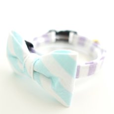 画像3: Candyシリーズ・パープルボーダー×ボーダー柄リボン首輪/2色展開 (3)