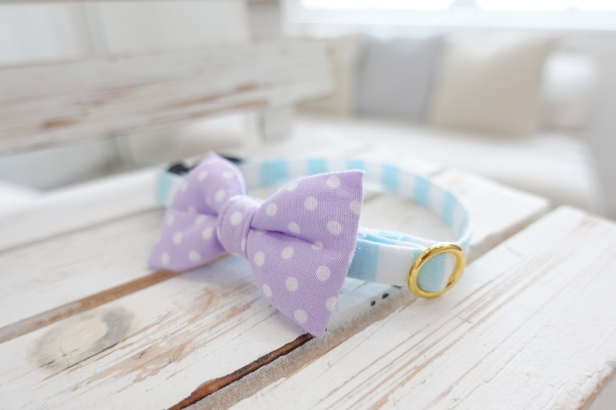 画像3: Candyシリーズ・水色ボーダー×ドット柄リボン首輪/2色展開 (3)