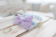 画像3: Candyシリーズ・水色ボーダー×ドット柄リボン首輪/2色展開 (3)