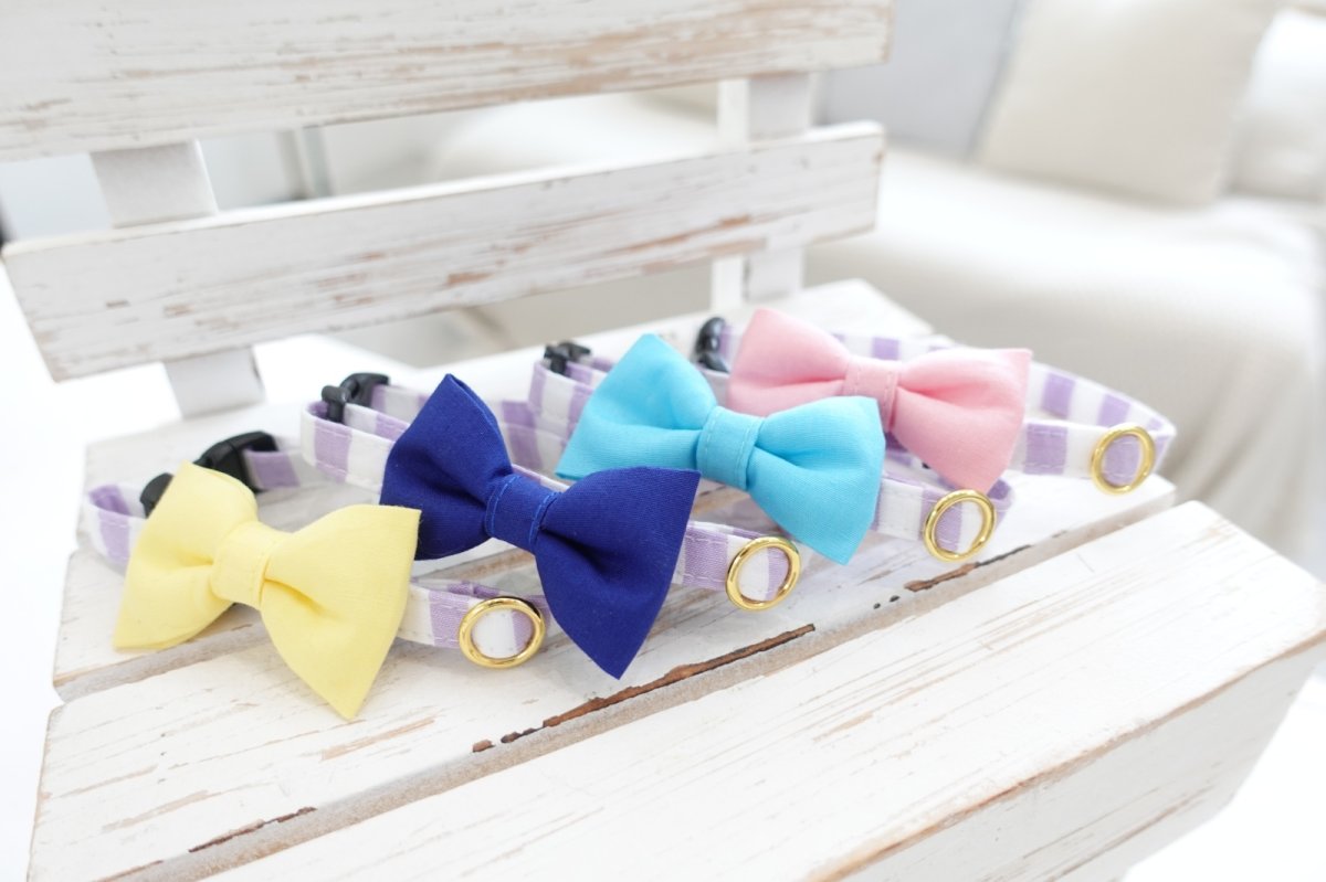 画像11: Candyシリーズ・パープルボーダー×無地リボン首輪/4色展開 (11)