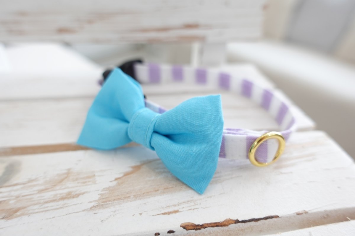 画像8: Candyシリーズ・パープルボーダー×無地リボン首輪/4色展開 (8)