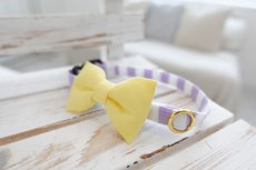 画像7: Candyシリーズ・パープルボーダー×無地リボン首輪/4色展開 (7)
