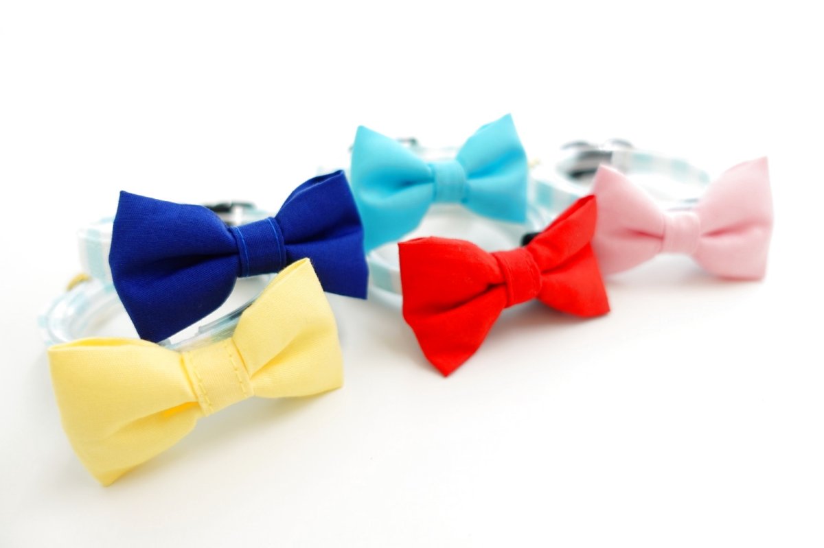 画像8: Candyシリーズ・水色ボーダー×無地リボン首輪/5色展開 (8)