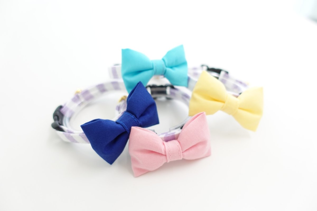 画像5: Candyシリーズ・パープルボーダー×無地リボン首輪/4色展開 (5)