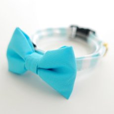 画像5: Candyシリーズ・水色ボーダー×無地リボン首輪/5色展開 (5)