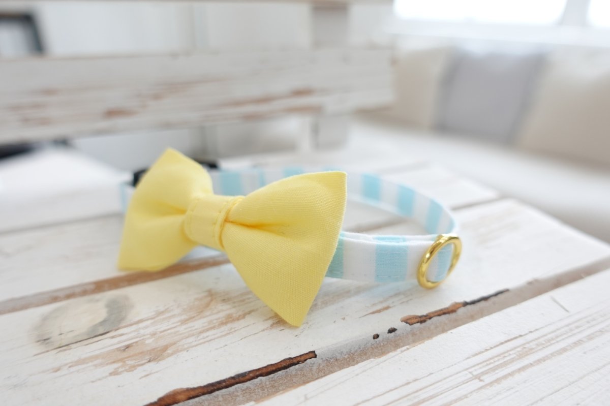 画像7: Candyシリーズ・水色ボーダー×無地リボン首輪/5色展開 (7)