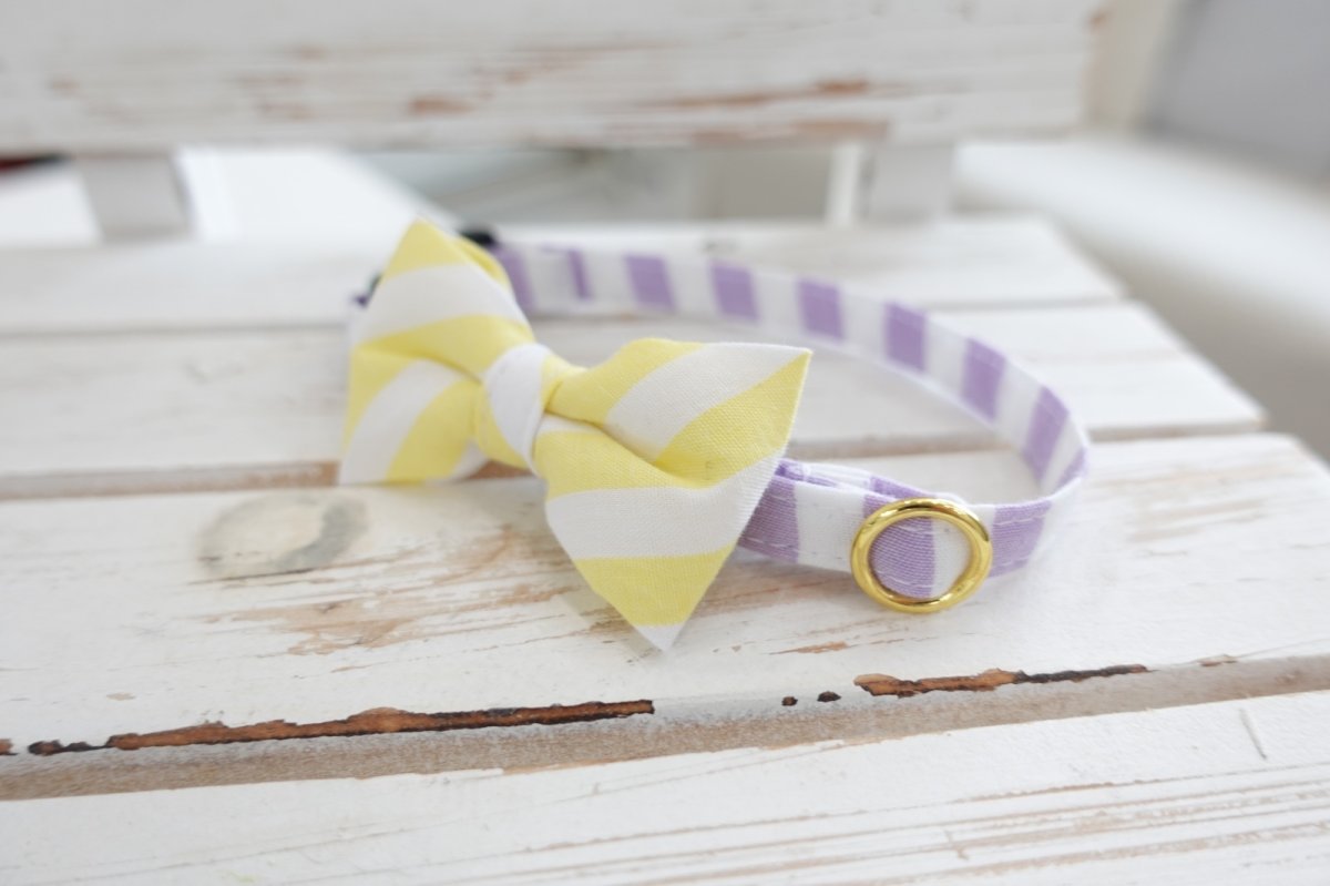 画像4: Candyシリーズ・パープルボーダー×ボーダー柄リボン首輪/2色展開 (4)