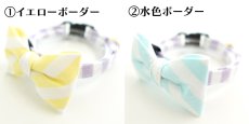 画像8: Candyシリーズ・パープルボーダー×ボーダー柄リボン首輪/2色展開 (8)