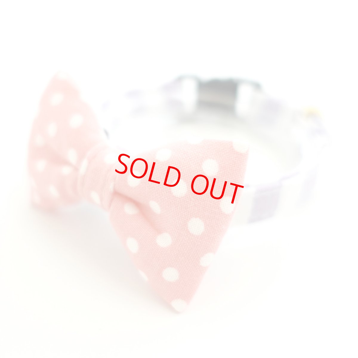 画像1: Candyシリーズ・パープルボーダー×ピンクドットリボン首輪 (1)