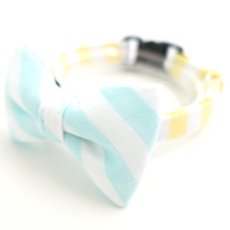 画像1: Candyシリーズ・イエローボーダー×水色ボーダーリボン首輪 (1)