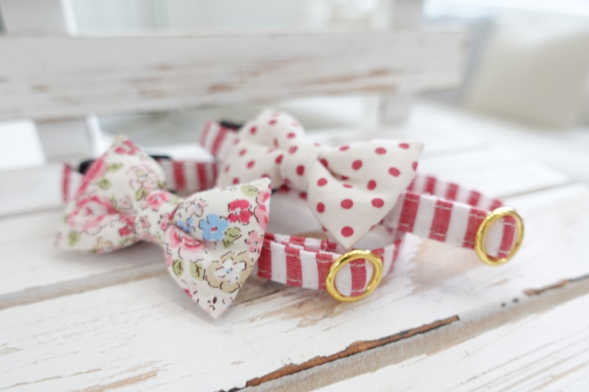 画像10: Candyシリーズ・レッドボーダー×リボン首輪/4色展開 (10)