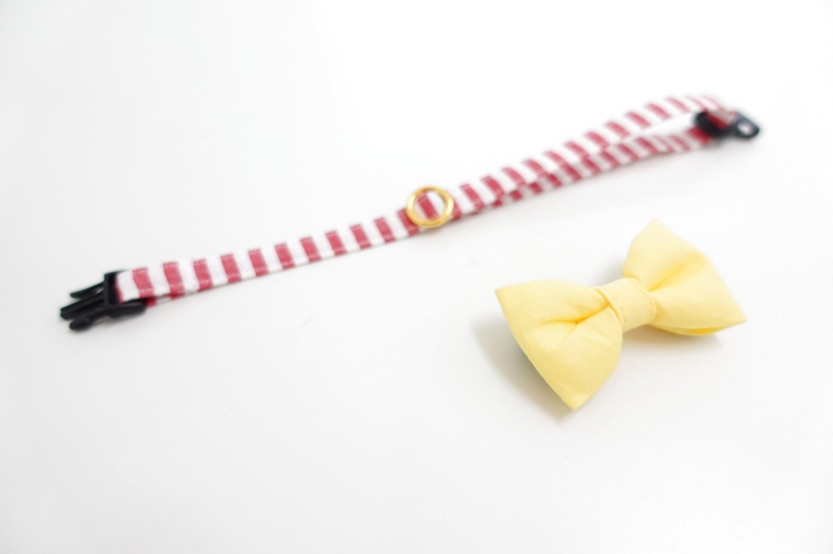 画像11: Candyシリーズ・レッドボーダー×リボン首輪/4色展開 (11)