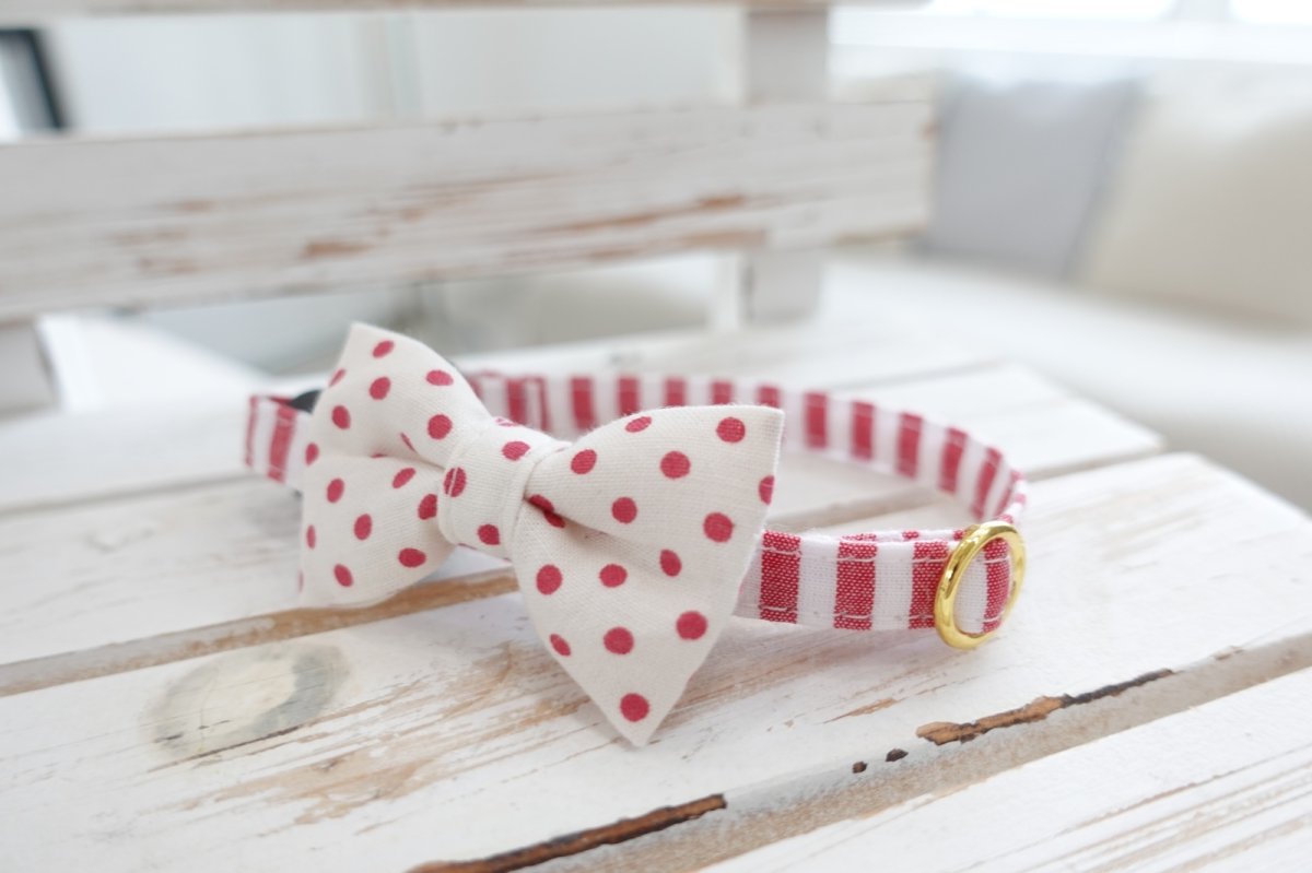 画像8: Candyシリーズ・レッドボーダー×リボン首輪/4色展開 (8)