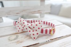 画像8: Candyシリーズ・レッドボーダー×リボン首輪/4色展開 (8)