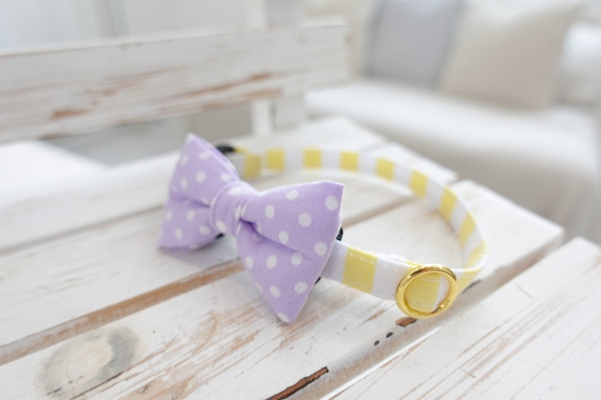 画像2: Candyシリーズ・イエローボーダー×パープルドットリボン首輪 (2)