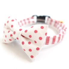 画像4: Candyシリーズ・レッドボーダー×リボン首輪/4色展開 (4)