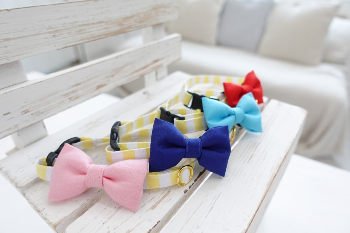 画像8: Candyシリーズ・イエローボーダー×無地リボン首輪/4色展開 (8)