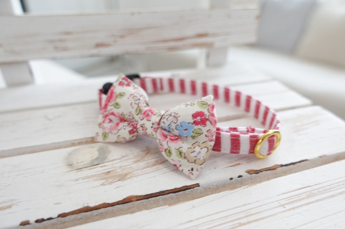 画像9: Candyシリーズ・レッドボーダー×リボン首輪/4色展開 (9)