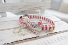 画像9: Candyシリーズ・レッドボーダー×リボン首輪/4色展開 (9)
