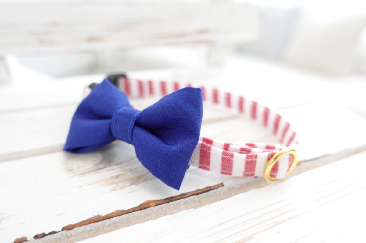 画像7: Candyシリーズ・レッドボーダー×リボン首輪/4色展開 (7)