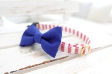 画像7: Candyシリーズ・レッドボーダー×リボン首輪/4色展開 (7)