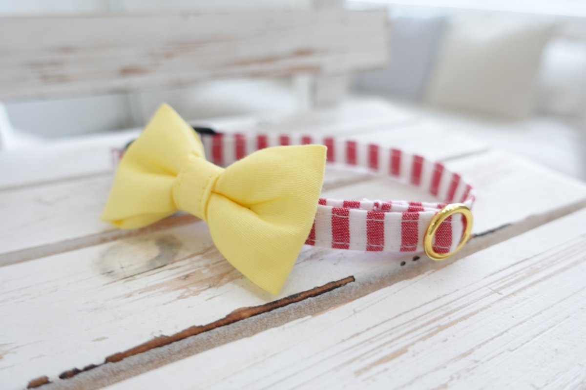 画像6: Candyシリーズ・レッドボーダー×リボン首輪/4色展開 (6)