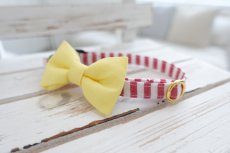 画像6: Candyシリーズ・レッドボーダー×リボン首輪/4色展開 (6)