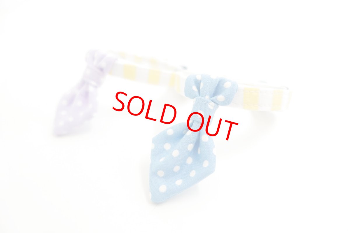 画像6:  Candyシリーズ・イエローボーダー×ドット柄・ネクタイ/3色展開 (6)